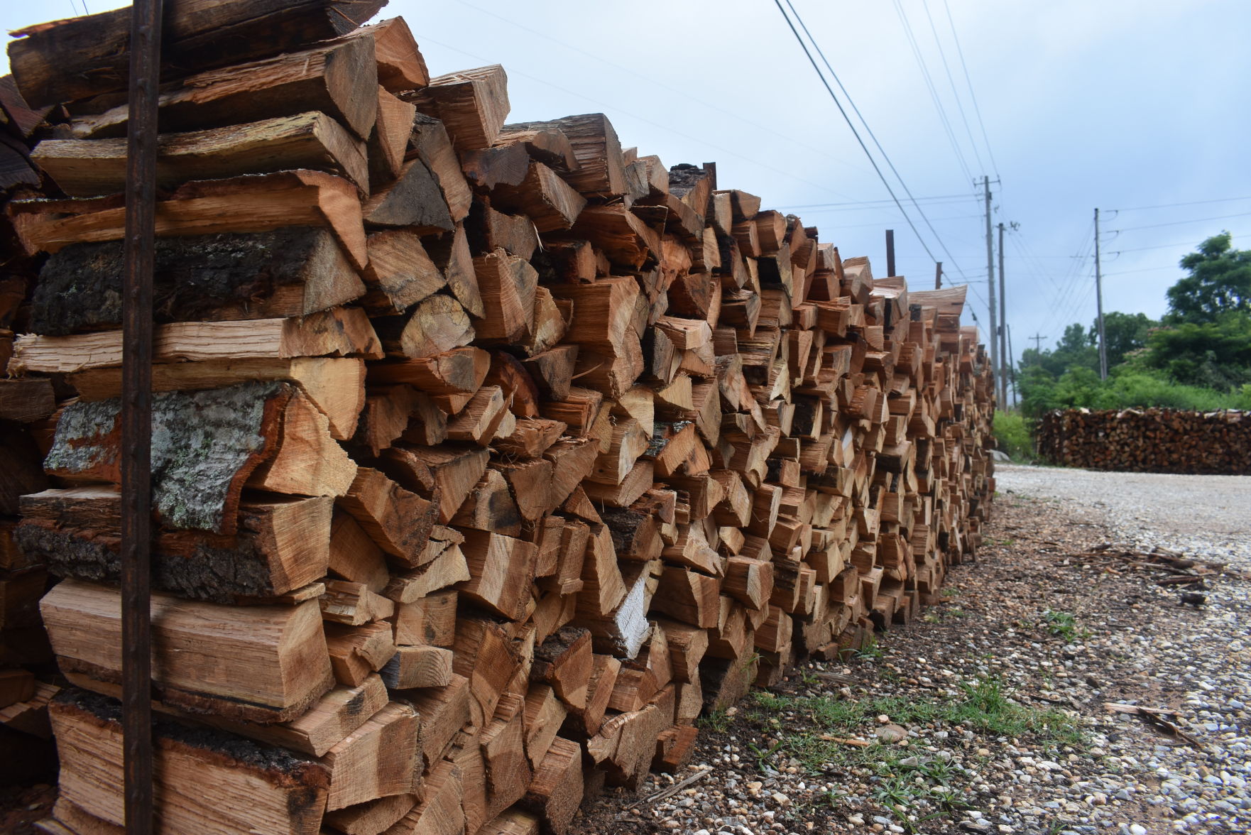 Logging industry